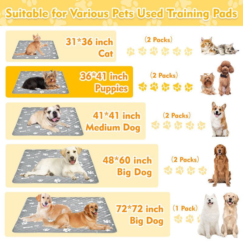 Dog crate pee pads online